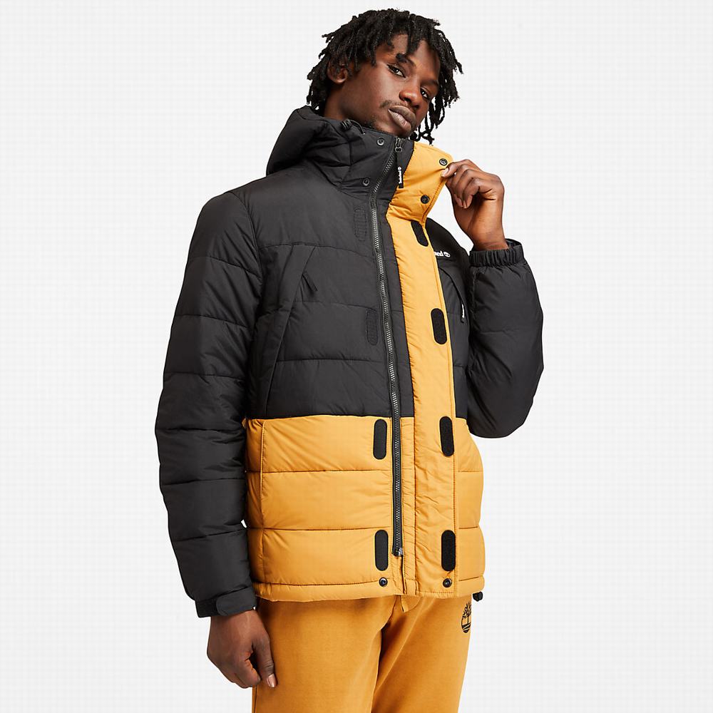 Bundy Timberland Outdoor Archive Puffer Panske Žlté | ZA5790132