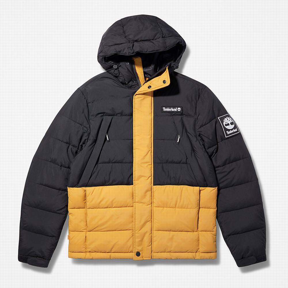 Bundy Timberland Outdoor Archive Puffer Panske Žlté | ZA5790132