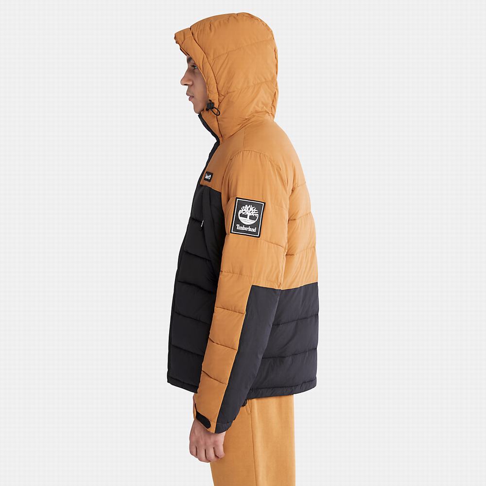 Bundy Timberland Outdoor Archive Vody-Resistant Puffer Panske Čierne | MG0318652