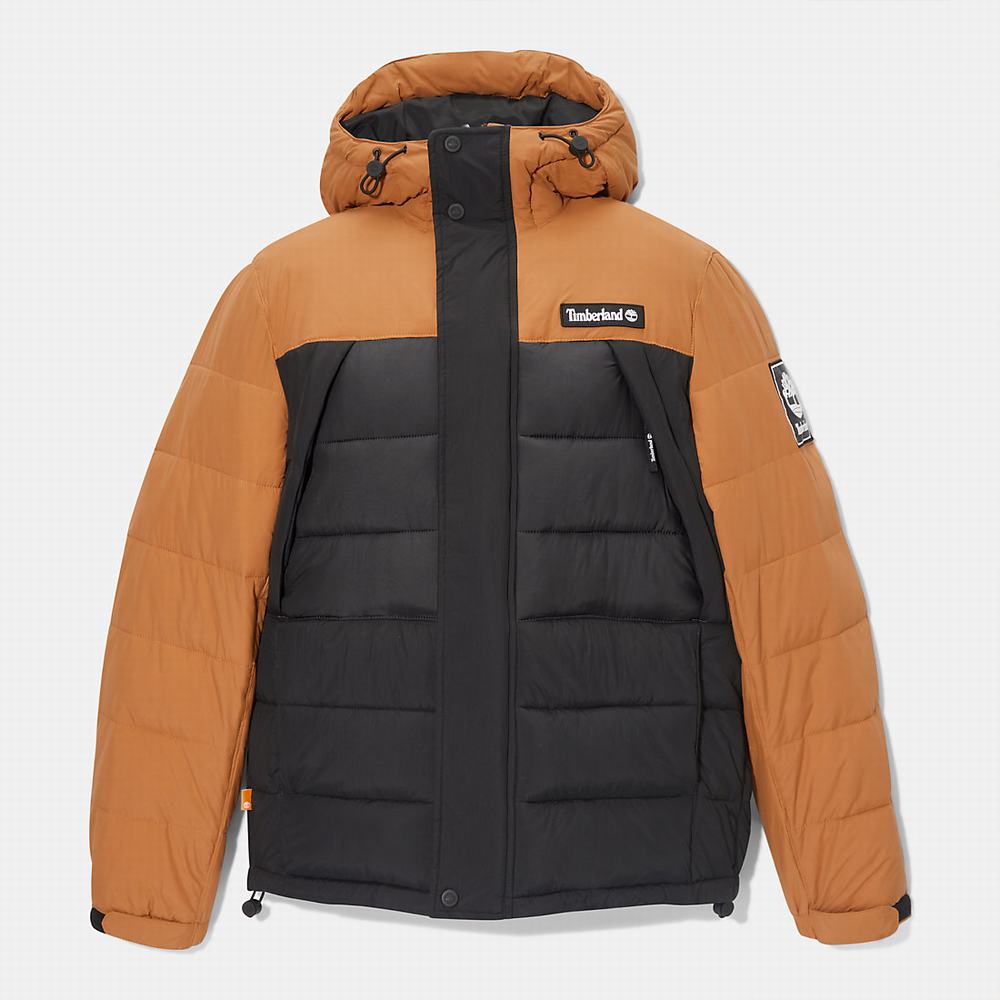 Bundy Timberland Outdoor Archive Vody-Resistant Puffer Panske Čierne | MG0318652