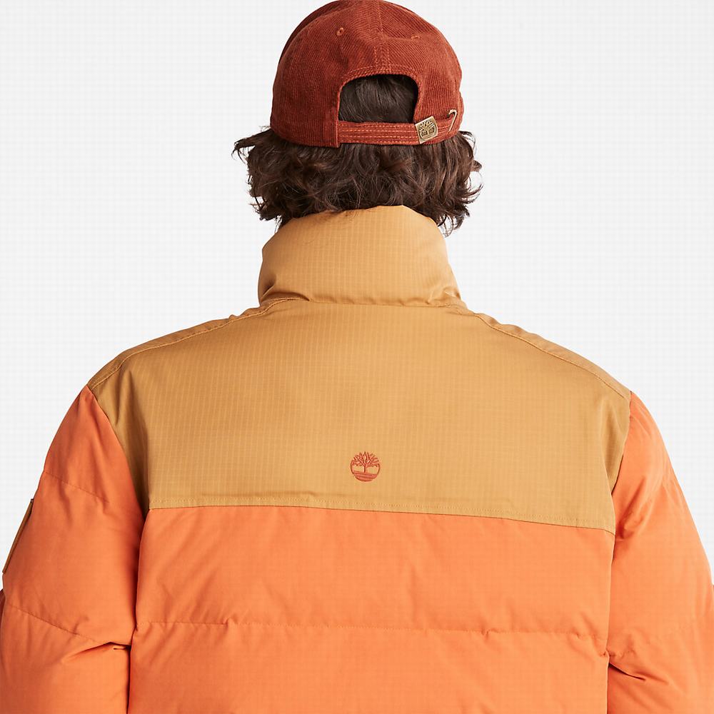 Bundy Timberland Welch Mountain Puffer Panske Svetlo Hnede | HT4527890