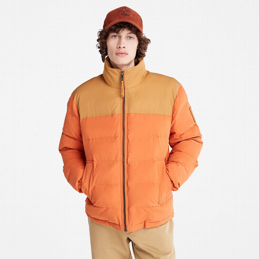 Bundy Timberland Welch Mountain Puffer Panske Svetlo Hnede | HT4527890