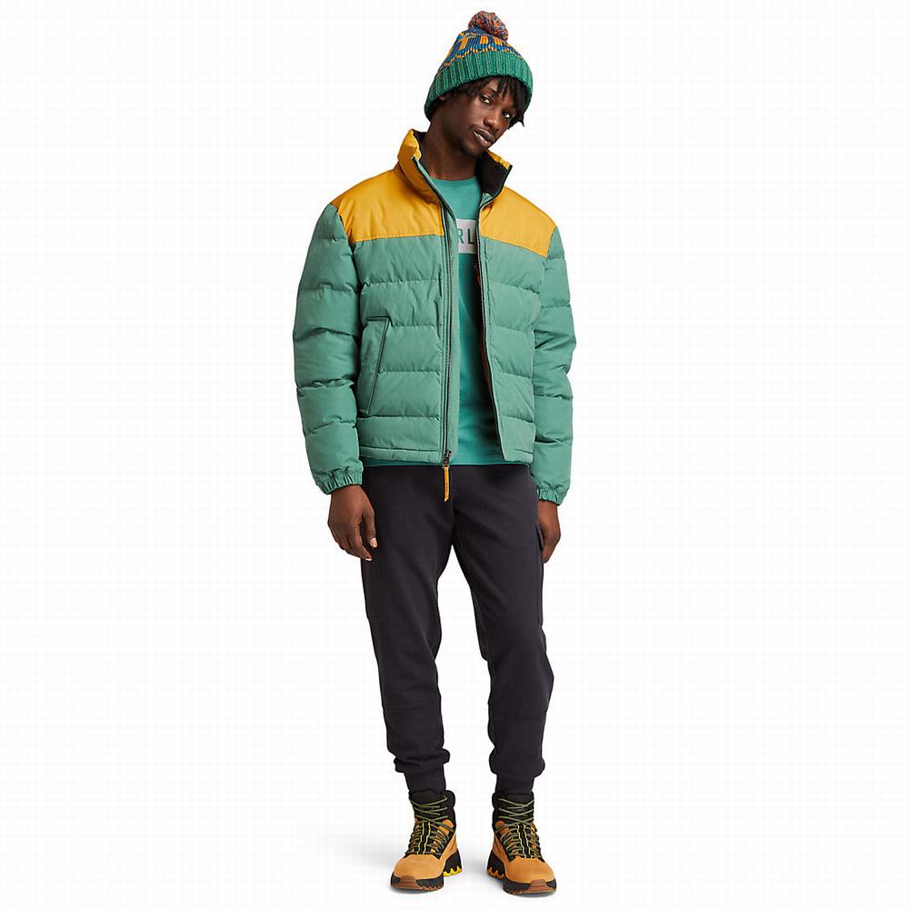 Bundy Timberland Welch Mountain Puffer Panske Zelene | ZM4703159