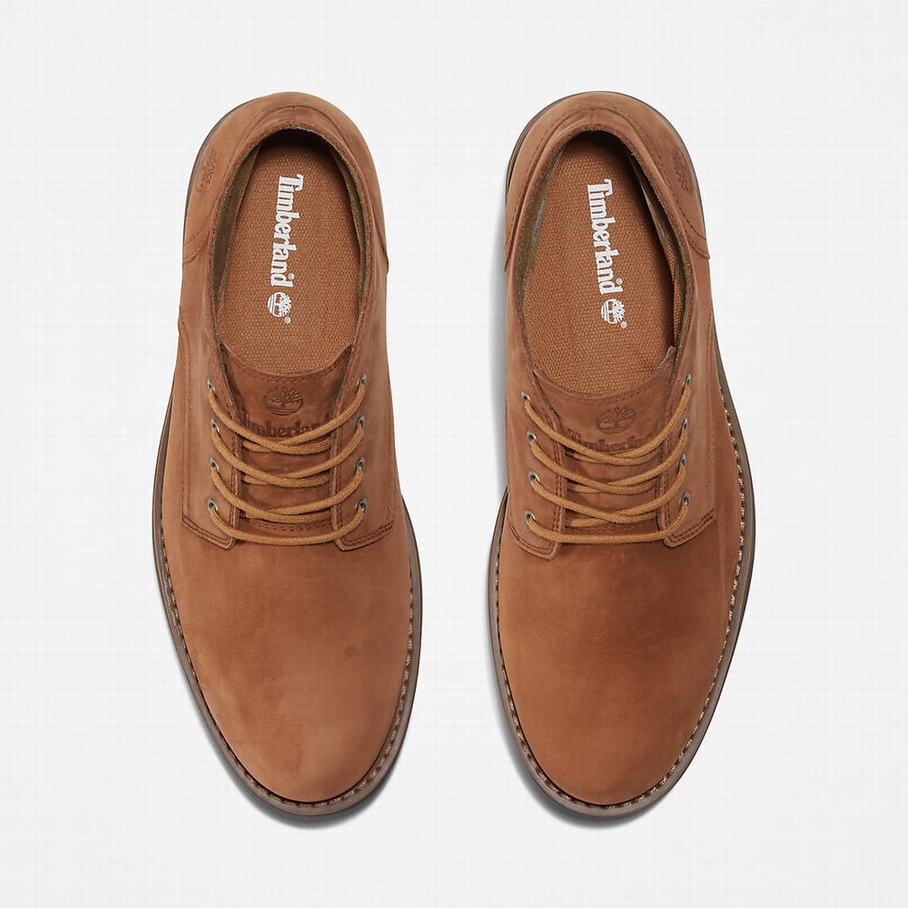 Chukka Čižmy Timberland Alden Brook Waterproof Chukka Panske Svetlo Hnede | VE6784350