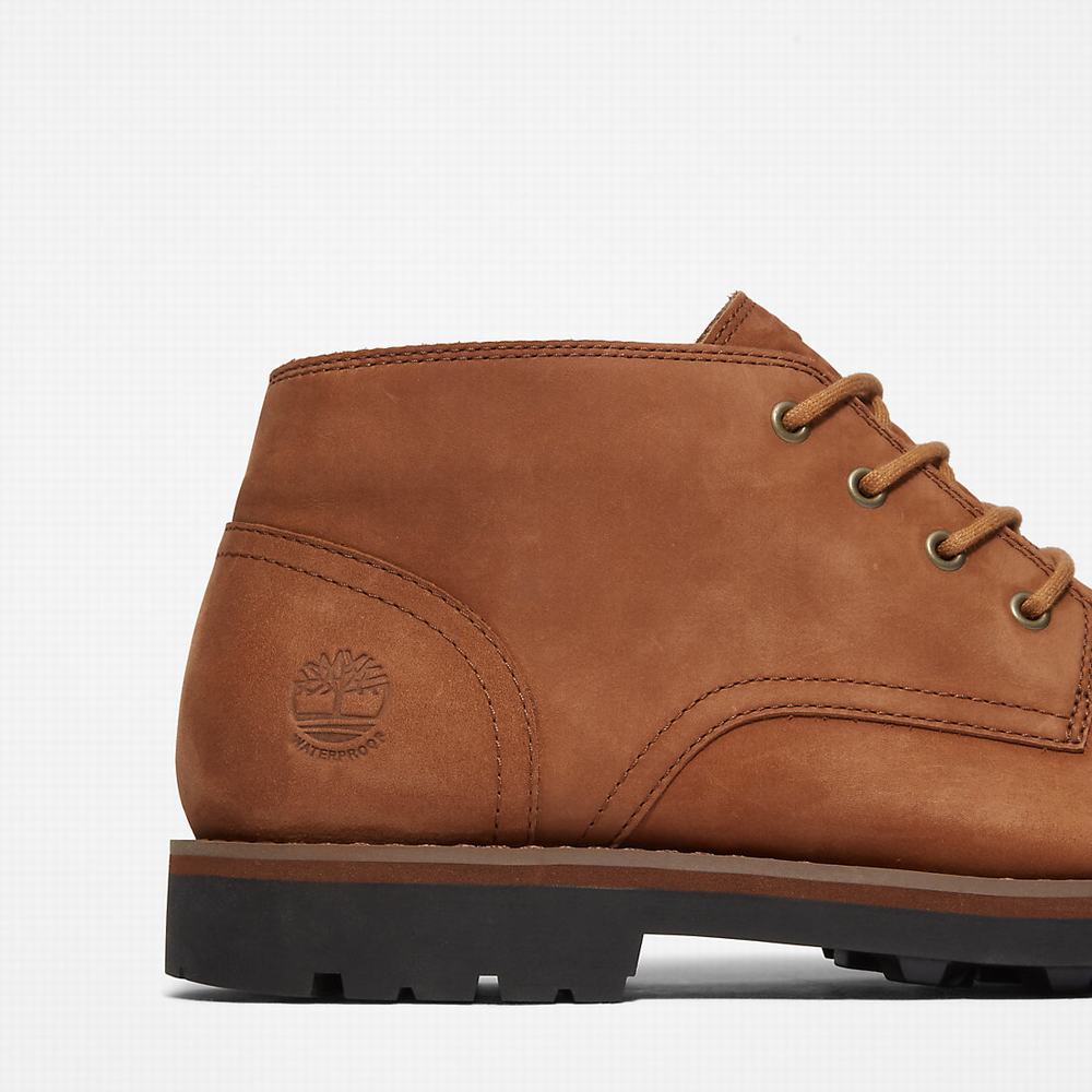 Chukka Čižmy Timberland Alden Brook Waterproof Chukka Panske Svetlo Hnede | VE6784350