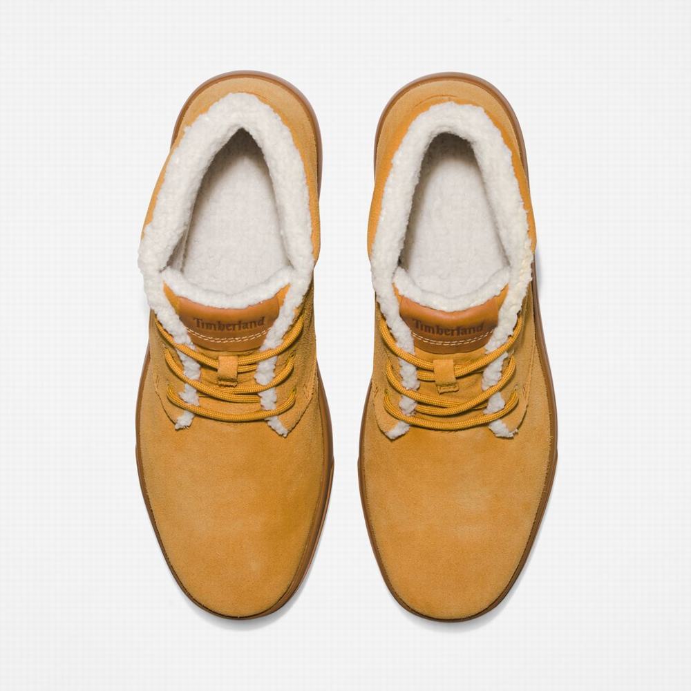 Chukka Čižmy Timberland Ashwood Park Warm-Podsite Chukka Panske Hnede | JQ5830416