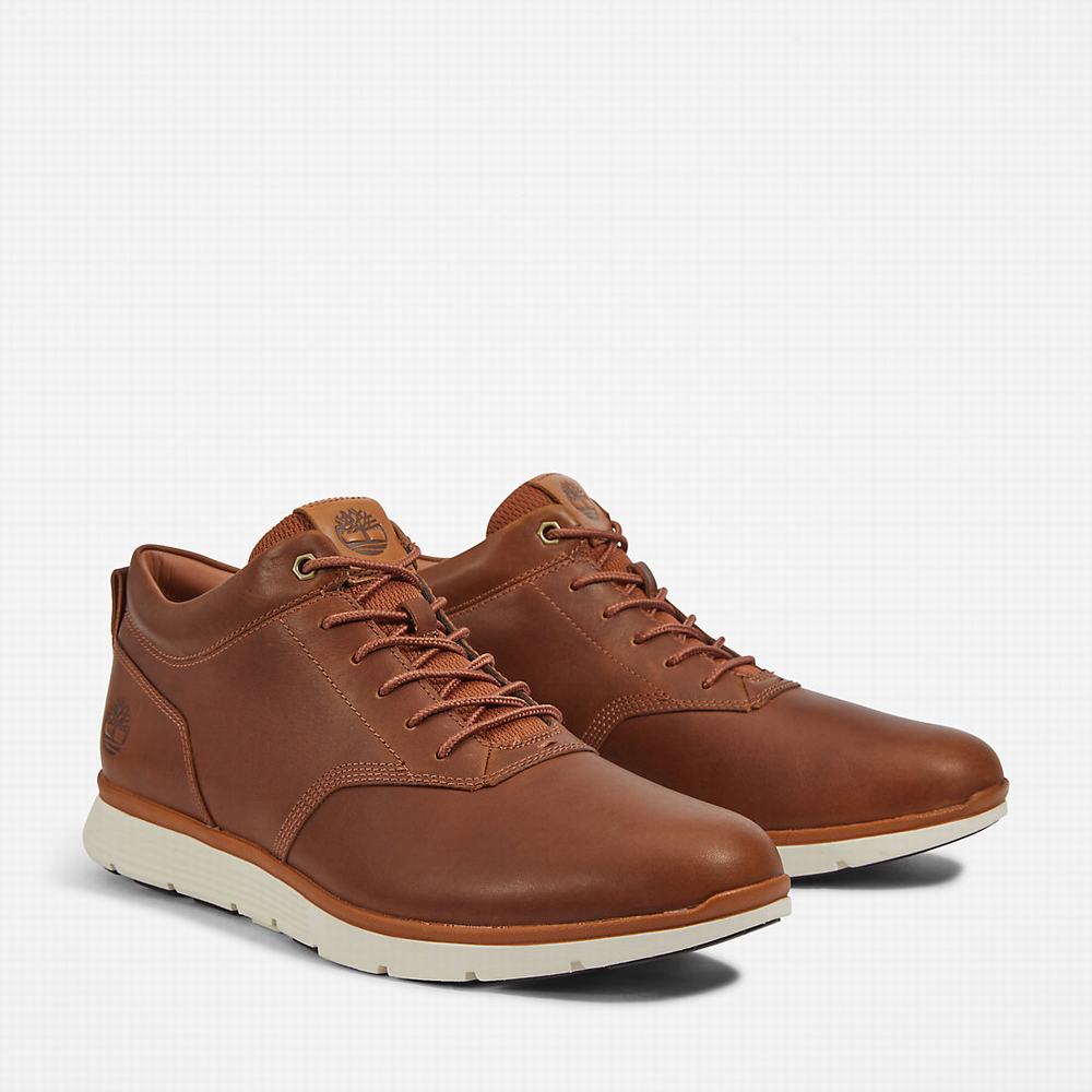 Chukka Čižmy Timberland Killington Oxford Chukka Panske Hnede | WU9614530