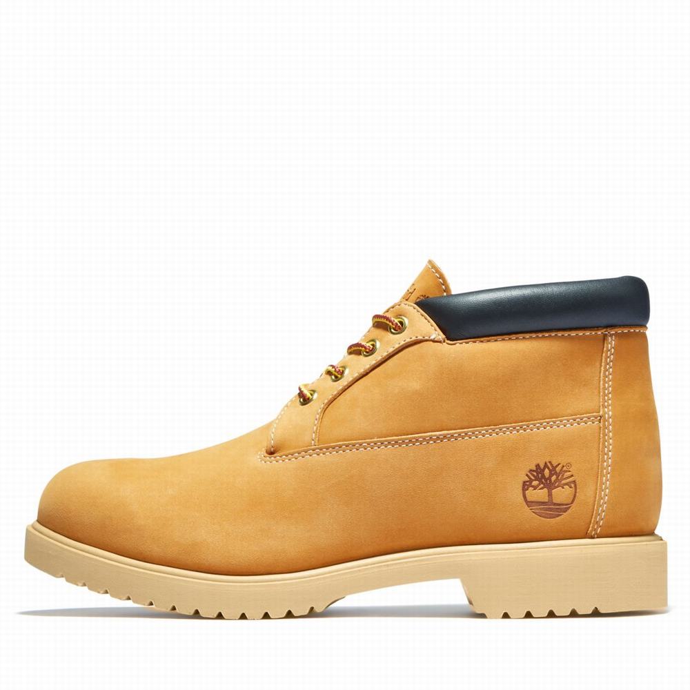 Chukka Čižmy Timberland TBL® 1973 Newman Waterproof Chukka Panske Hnede | MN2451860