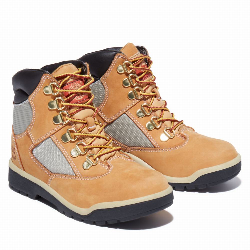 Cizmy Timberland 6-Inch Field Detske Hnede | BF5694723