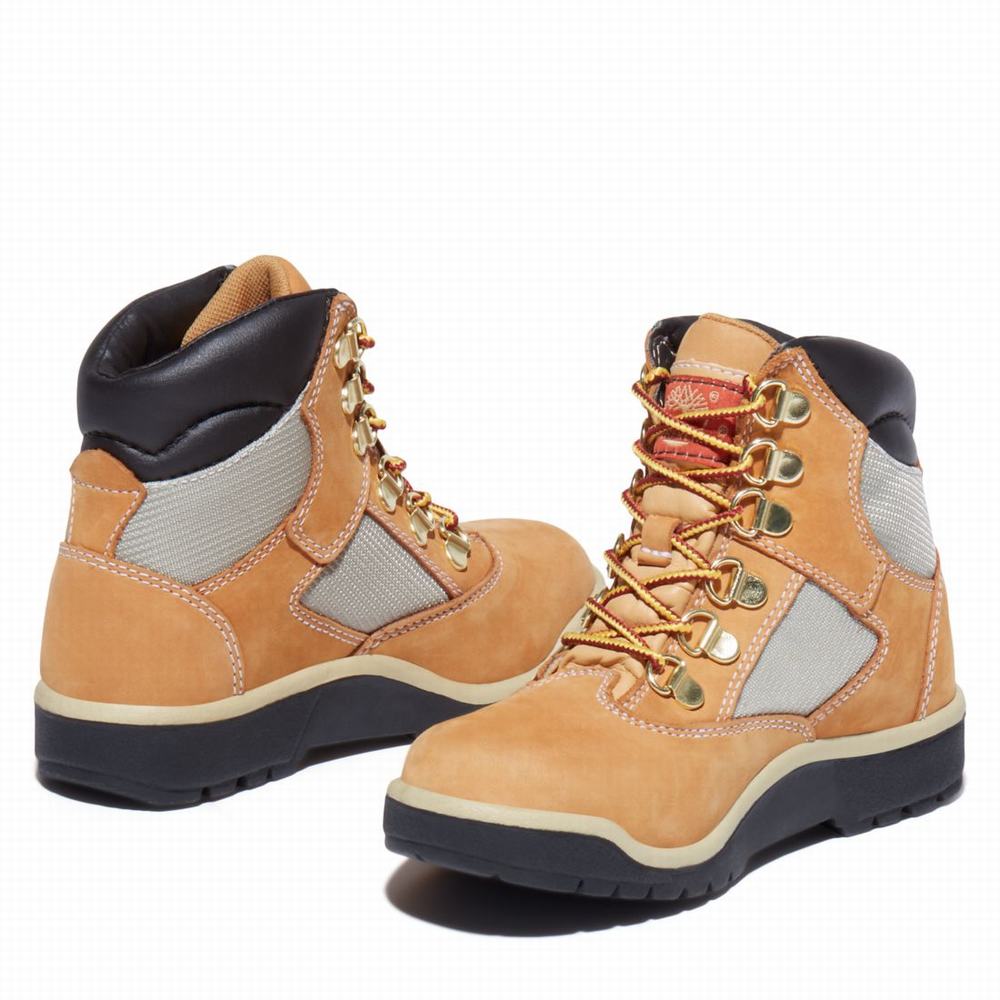 Cizmy Timberland 6-Inch Field Detske Hnede | BF5694723