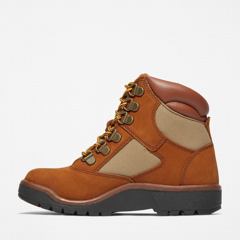 Cizmy Timberland 6-Inch Field Detske Hnede | FK3856279