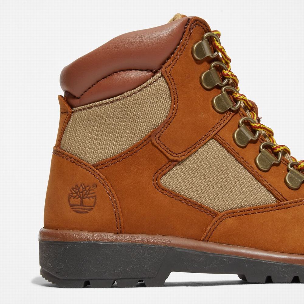 Cizmy Timberland 6-Inch Field Detske Hnede | FK3856279