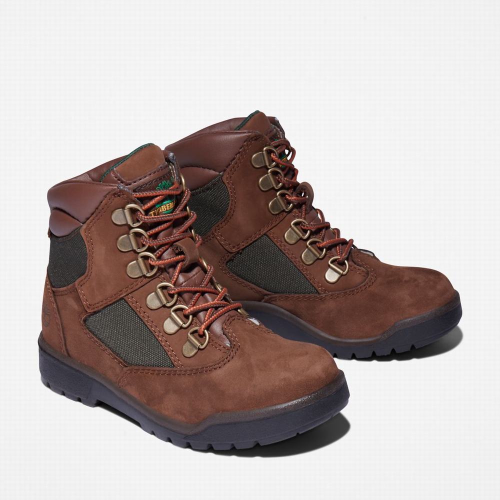 Cizmy Timberland 6-Inch Field Detske Tmavo Hnede | DK1476380