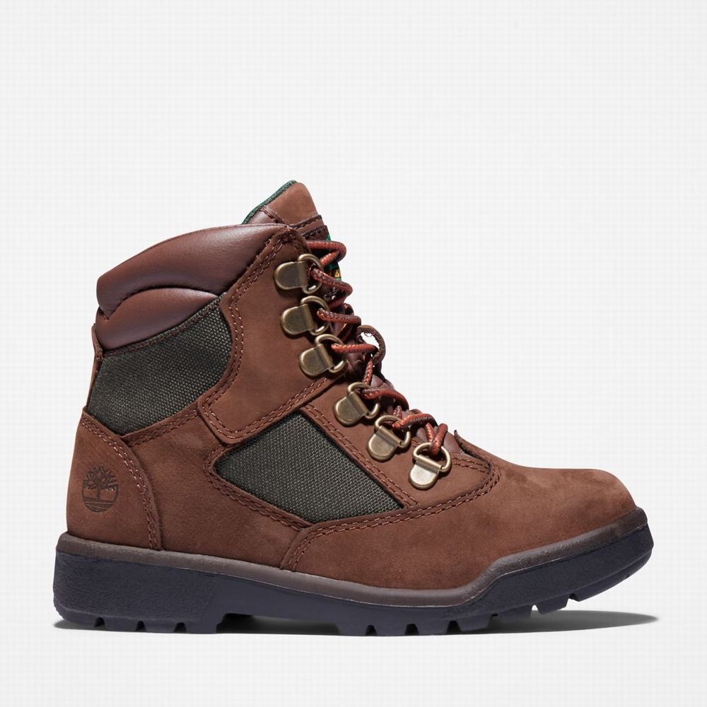 Cizmy Timberland 6-Inch Field Detske Tmavo Hnede | DK1476380