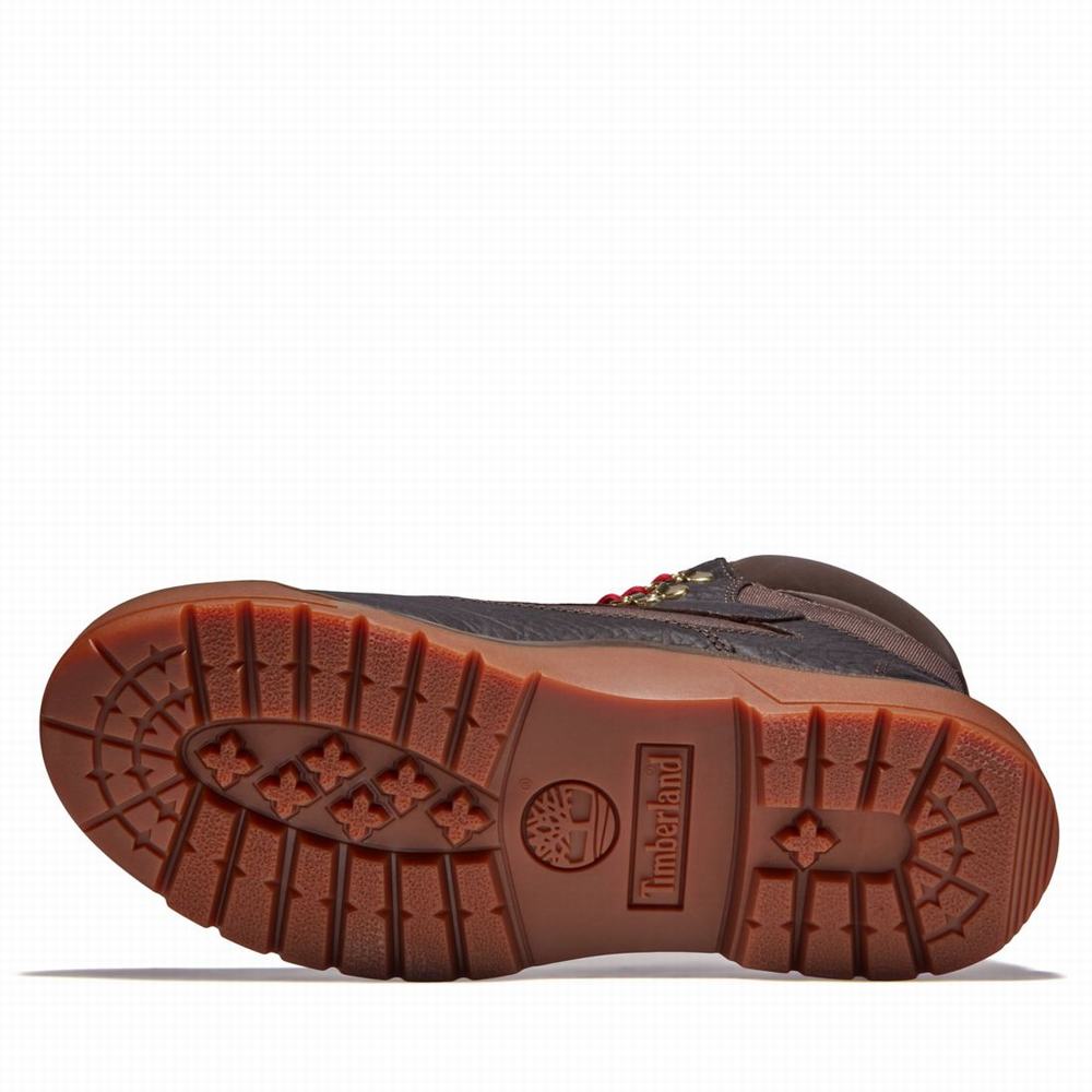 Cizmy Timberland 6-Inch Waterproof Field Panske Tmavo Hnede | CS3824067