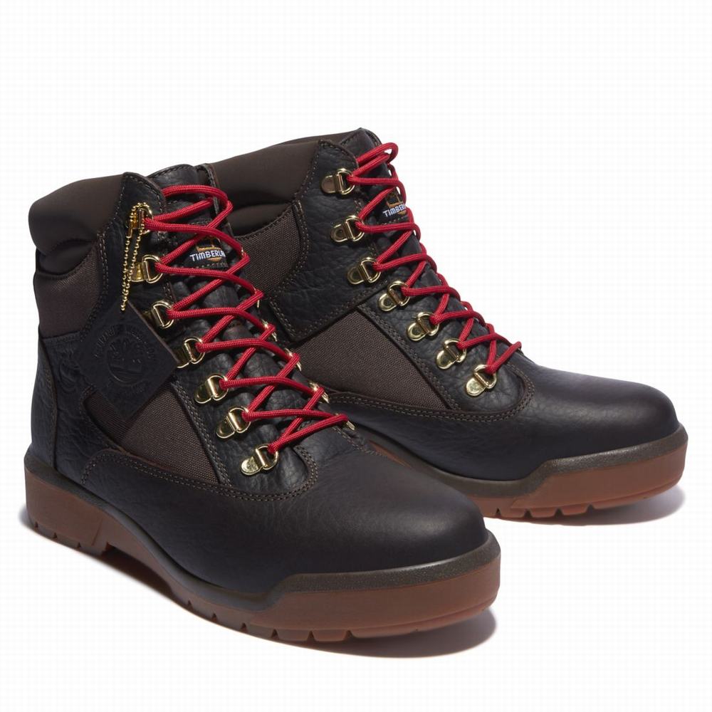 Cizmy Timberland 6-Inch Waterproof Field Panske Tmavo Hnede | CS3824067