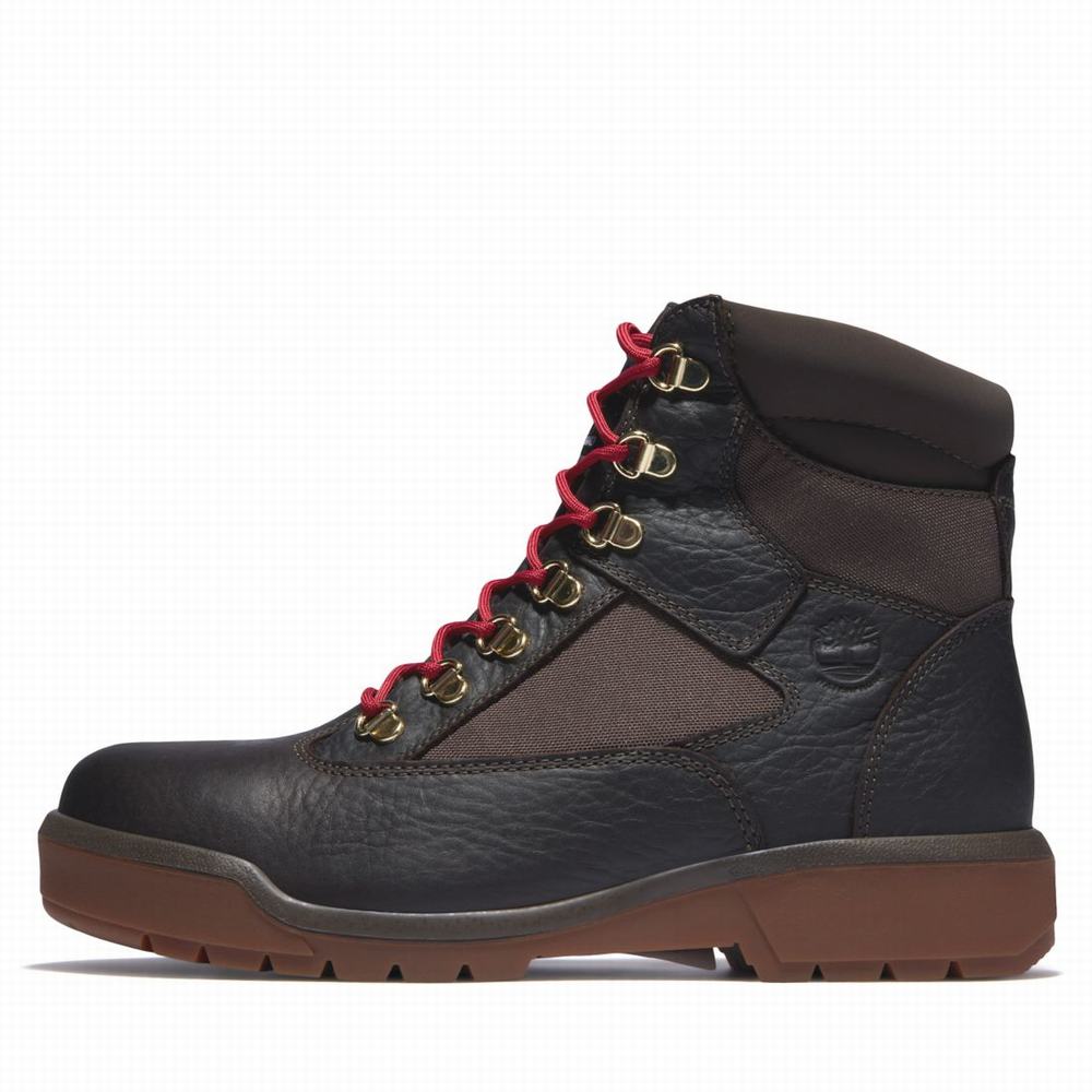 Cizmy Timberland 6-Inch Waterproof Field Panske Tmavo Hnede | CS3824067