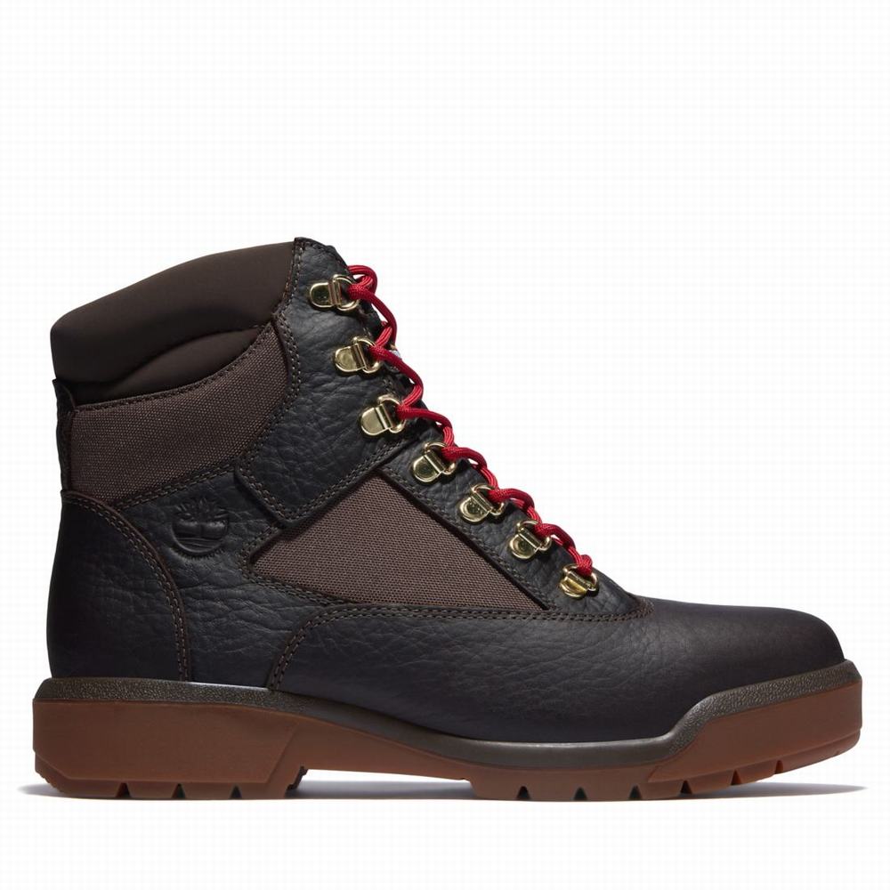 Cizmy Timberland 6-Inch Waterproof Field Panske Tmavo Hnede | CS3824067