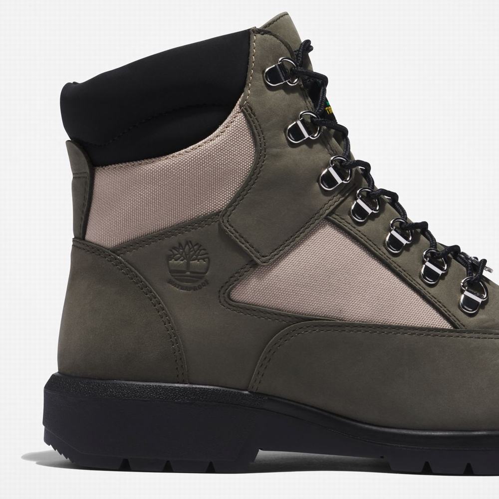 Cizmy Timberland 6-Inch Waterproof Field Panske Tmavo Zelene | LY6074193