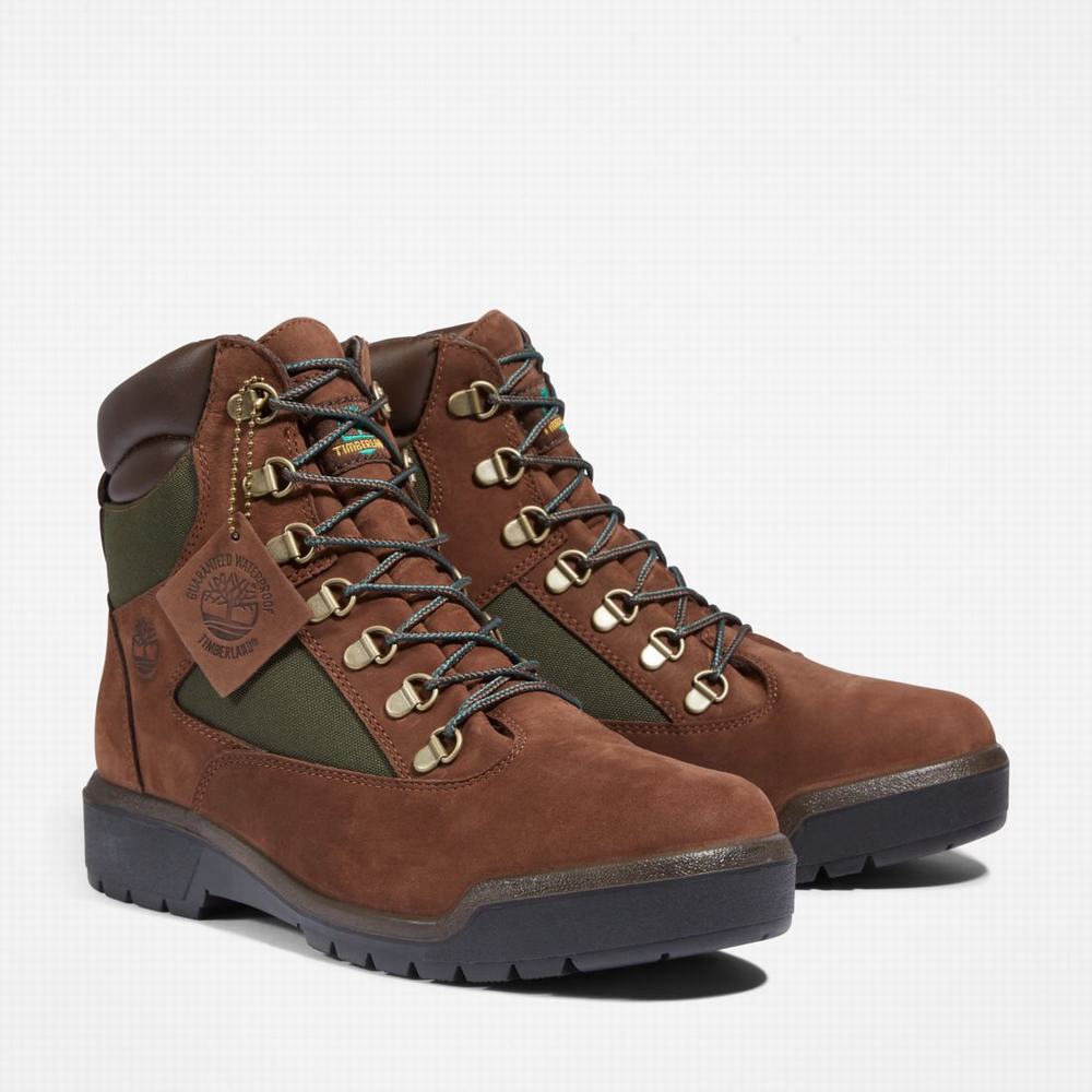 Cizmy Timberland 6-Inch Waterproof Field Panske Tmavo Hnede | OF8359164