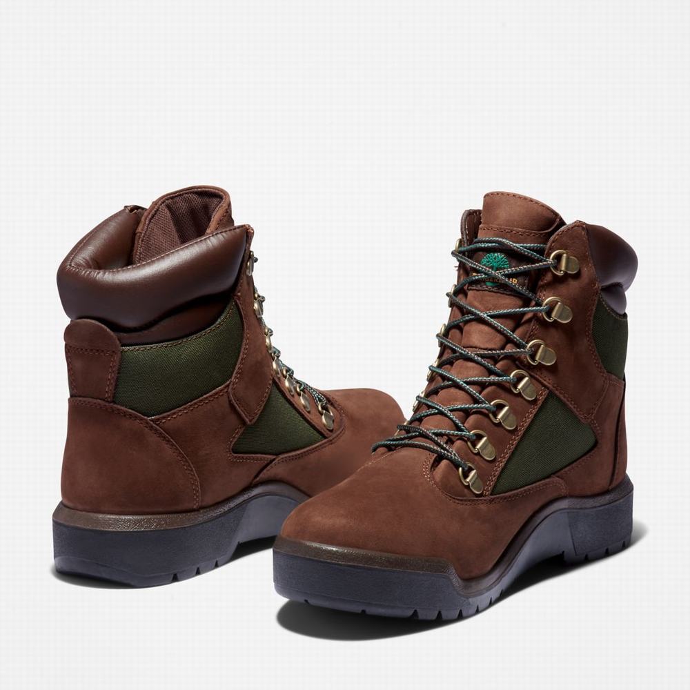 Cizmy Timberland 6-Inch Waterproof Field Panske Tmavo Hnede | OF8359164