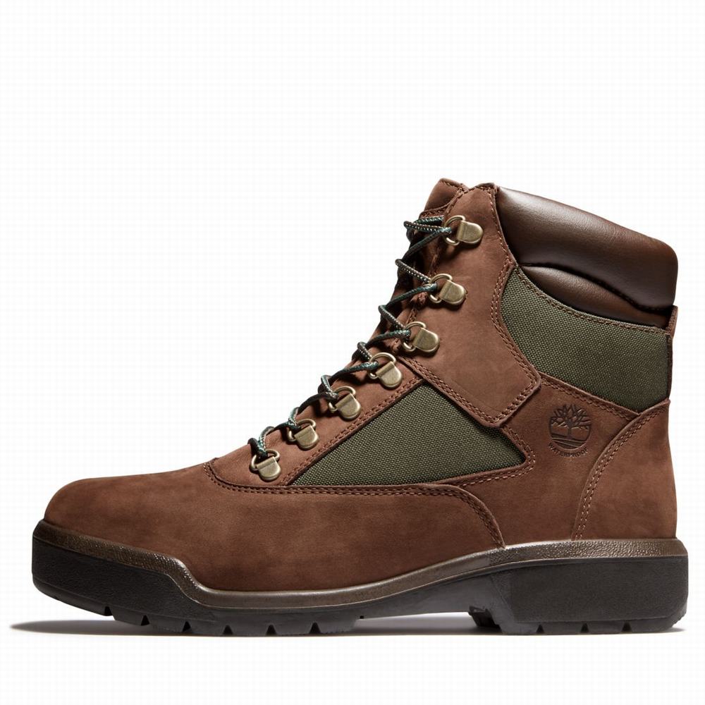 Cizmy Timberland 6-Inch Waterproof Field Panske Tmavo Hnede | OF8359164