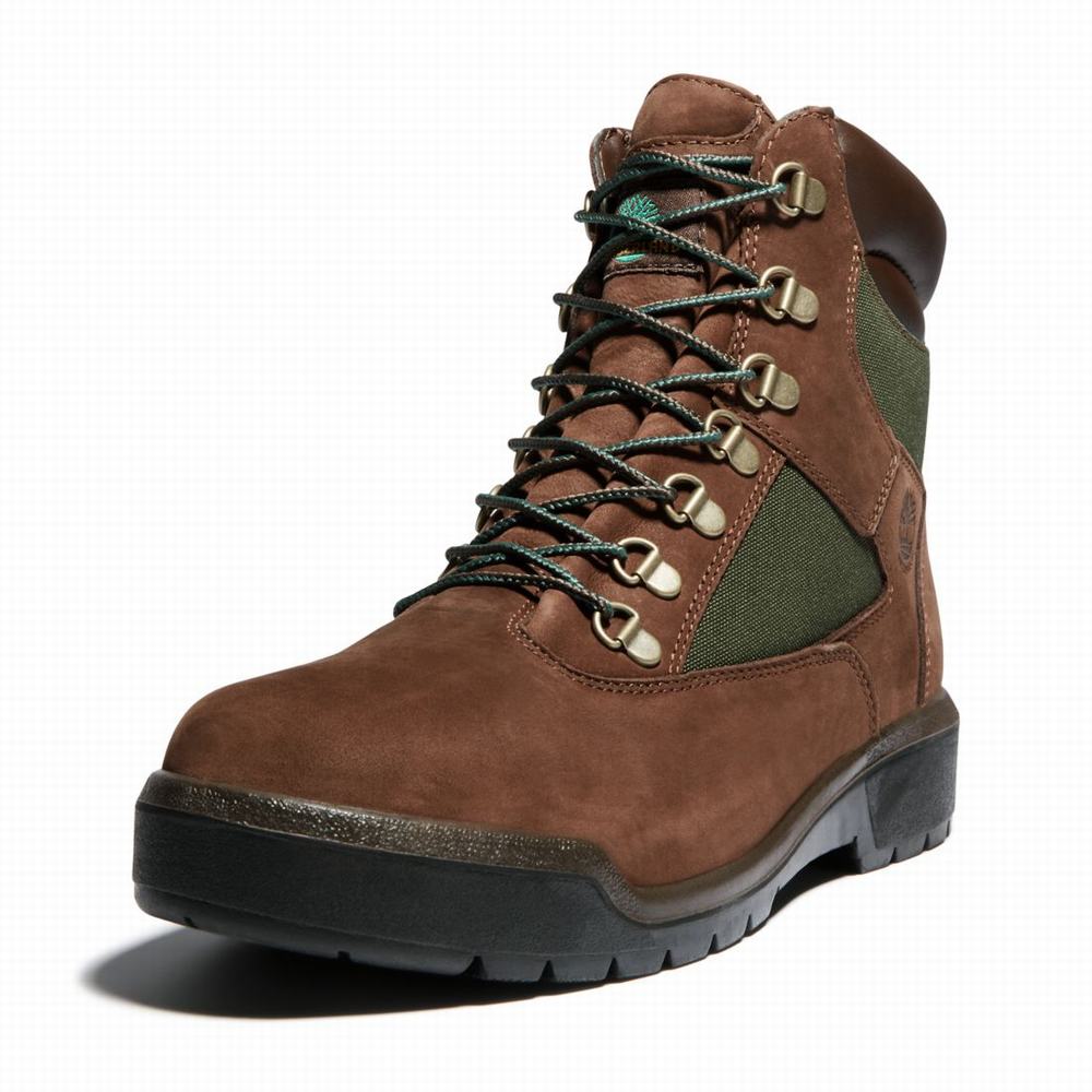 Cizmy Timberland 6-Inch Waterproof Field Panske Tmavo Hnede | OF8359164