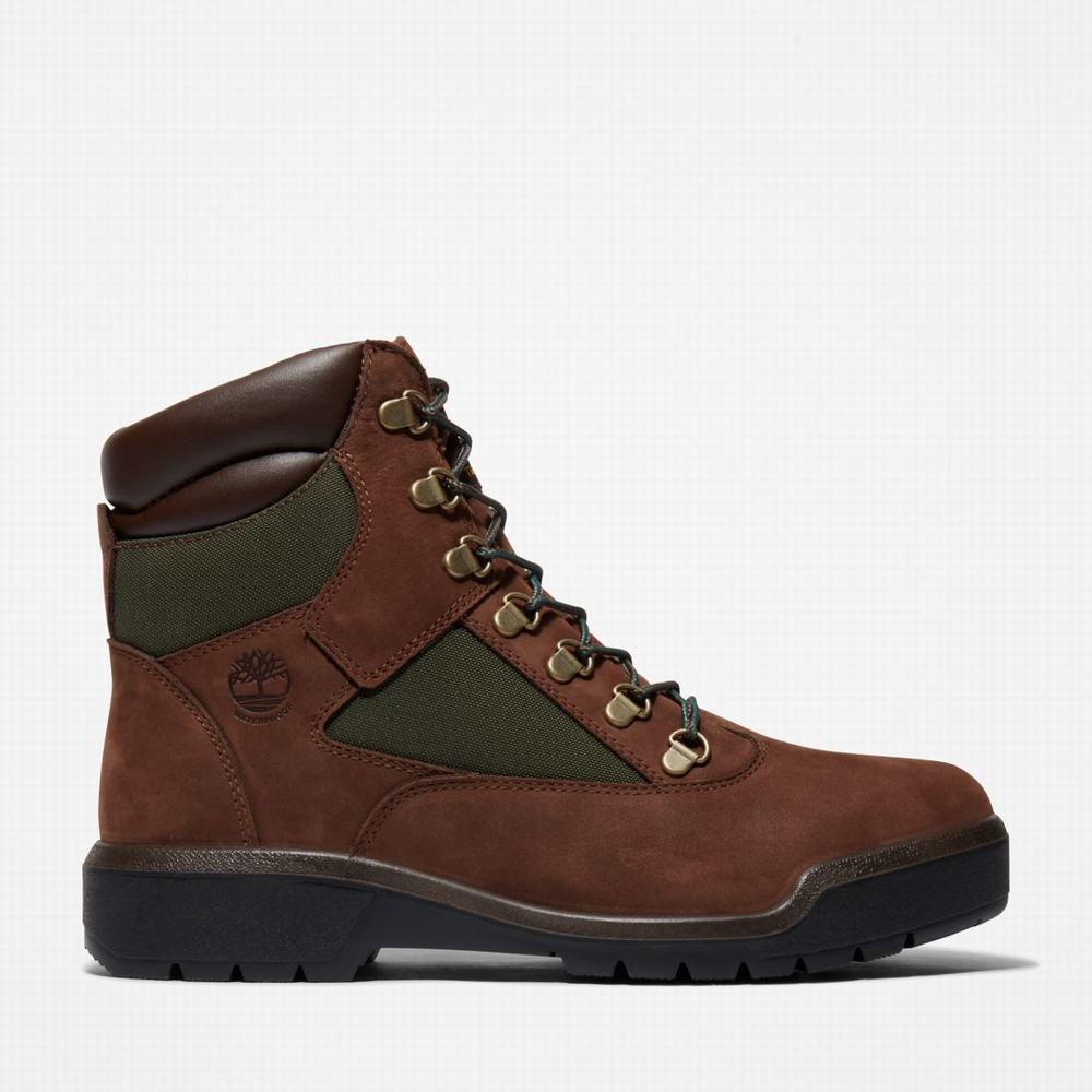 Cizmy Timberland 6-Inch Waterproof Field Panske Tmavo Hnede | OF8359164