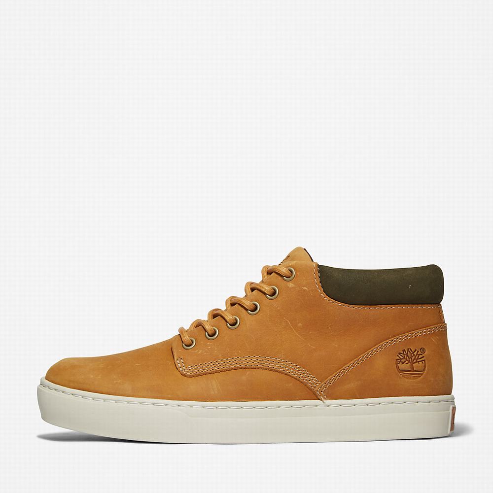 Cizmy Timberland Adventure 2.0 Cupsole Chukka Panske Žlté | QX4215378