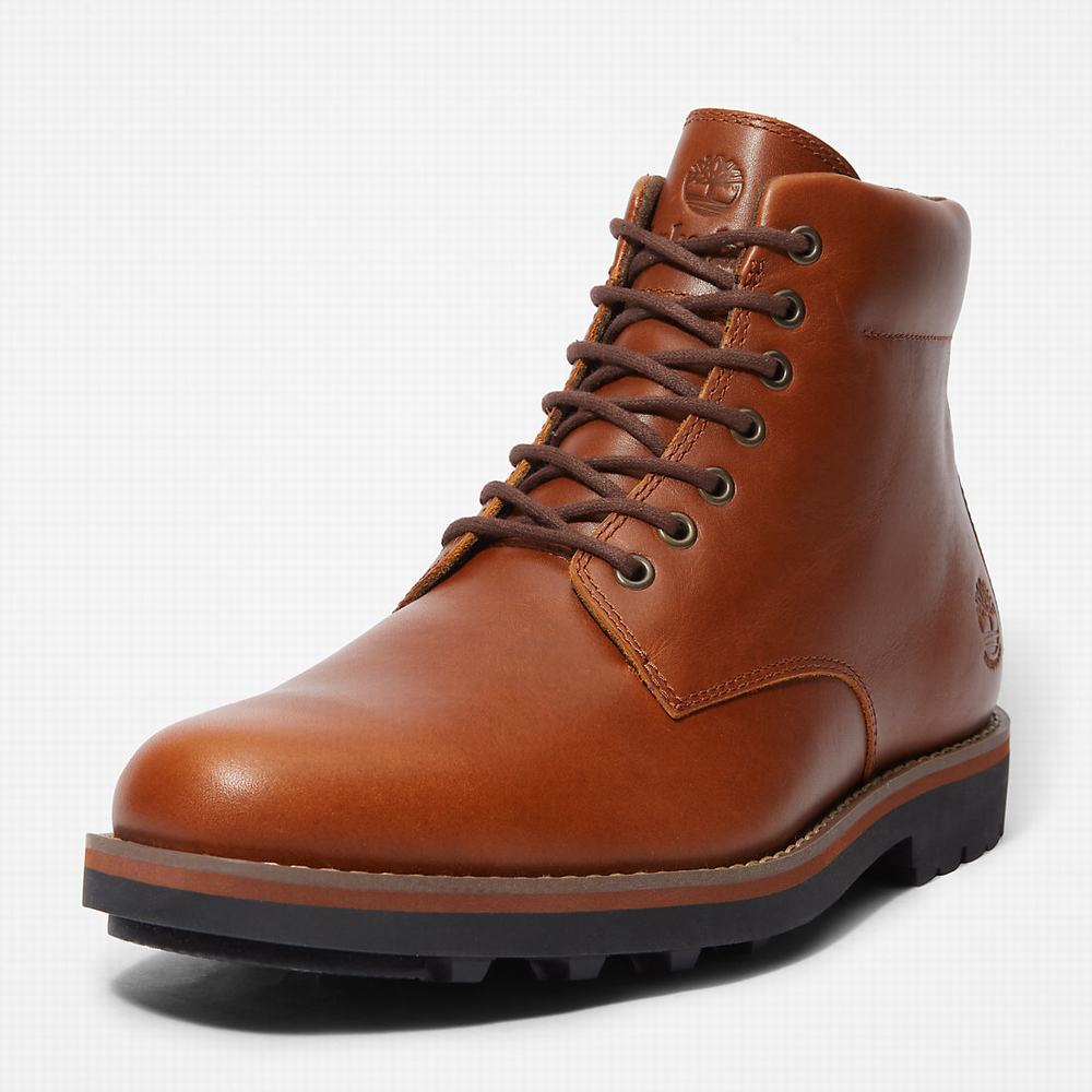 Cizmy Timberland Alden Brook Side-Zip Panske Tmavo Hnede | HB2067954