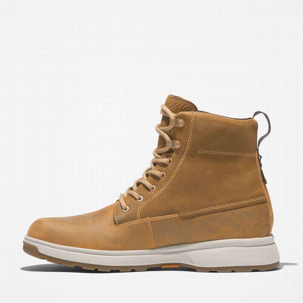 Cizmy Timberland Atwells Ave Waterproof Panske Hnede | BZ9248703