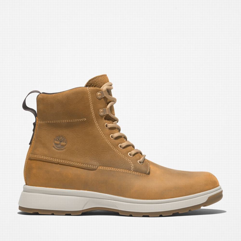 Cizmy Timberland Atwells Ave Waterproof Panske Hnede | BZ9248703