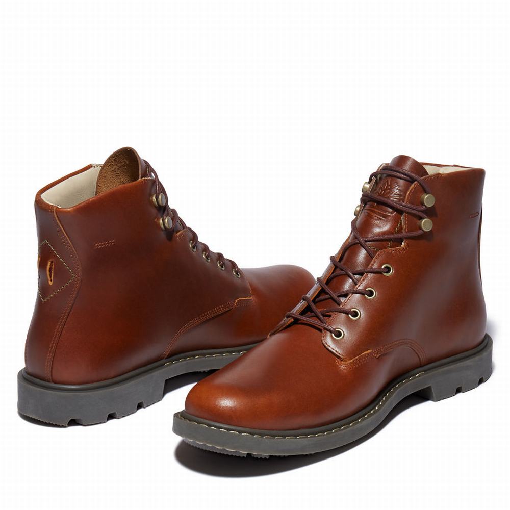 Cizmy Timberland Belanger EK+ 6 Inch Panske Hnede | BM5347196