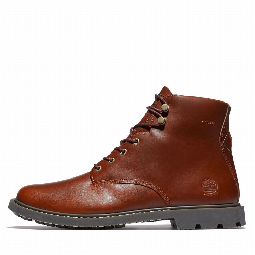 Cizmy Timberland Belanger EK+ 6 Inch Panske Hnede | BM5347196