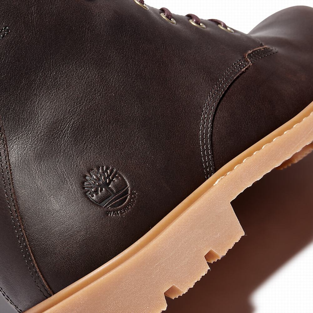 Cizmy Timberland Belanger EK+ 6 Inch Panske Tmavo Hnede | OP1859436