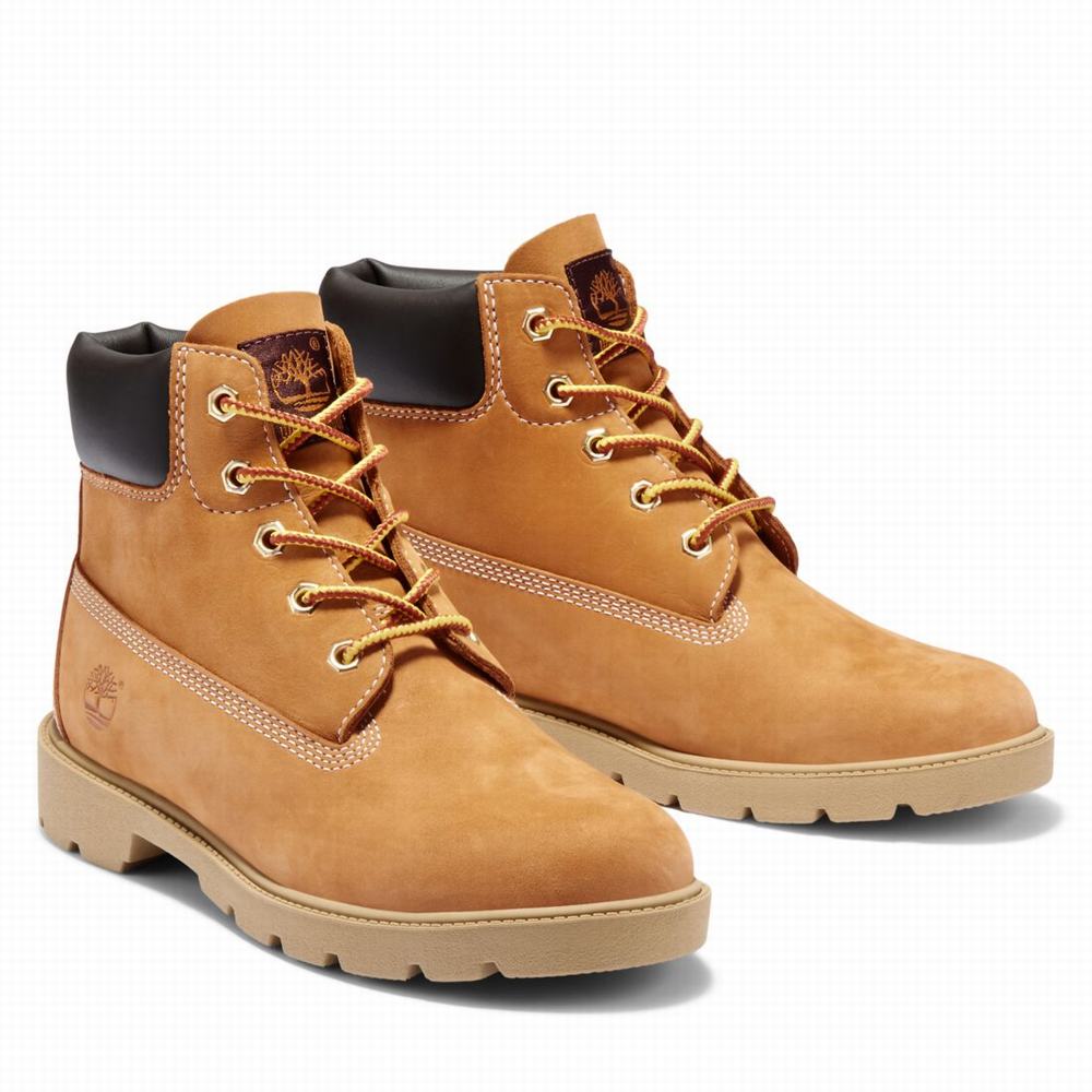 Cizmy Timberland Classic 6-Inch Waterproof Detske Hnede | ED0698412