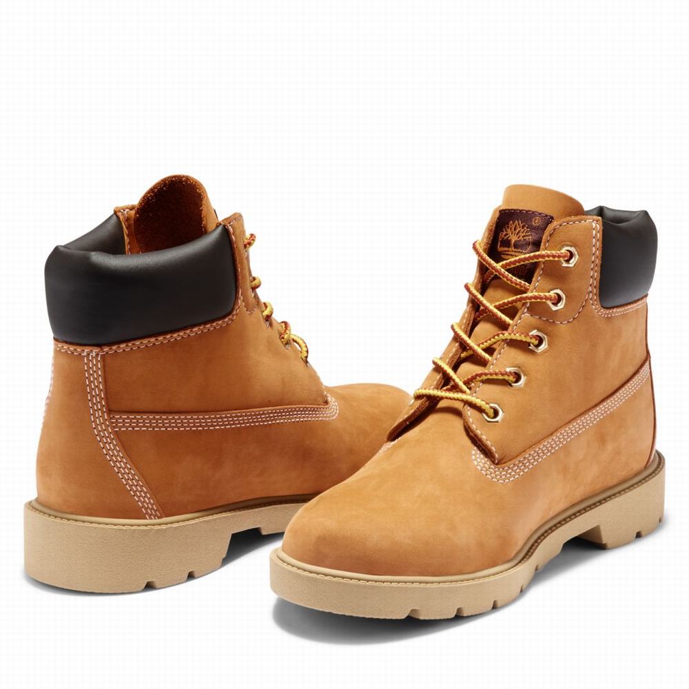 Cizmy Timberland Classic 6-Inch Waterproof Detske Hnede | ED0698412