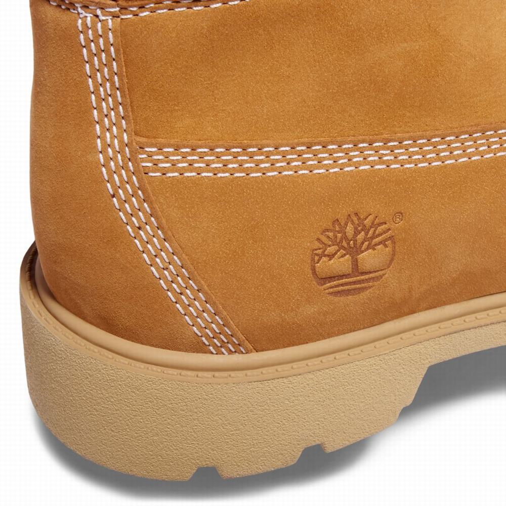 Cizmy Timberland Classic 6-Inch Waterproof Detske Hnede | ED0698412