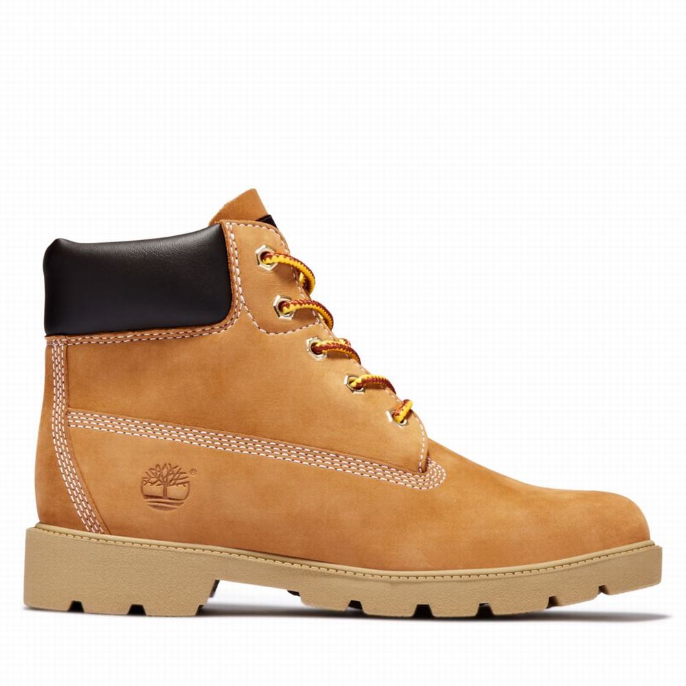 Cizmy Timberland Classic 6-Inch Waterproof Detske Hnede | ED0698412