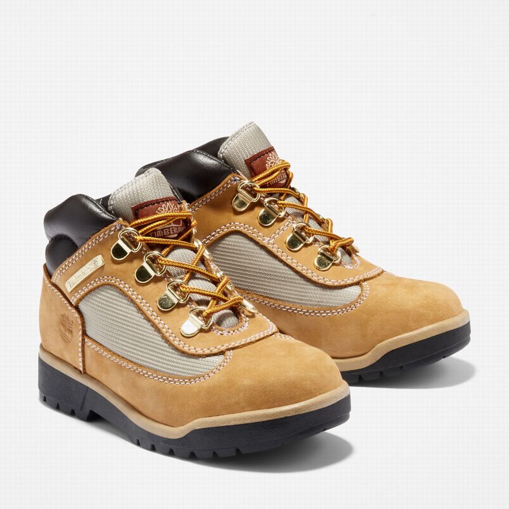 Cizmy Timberland Field Detske Hnede | RW5293610