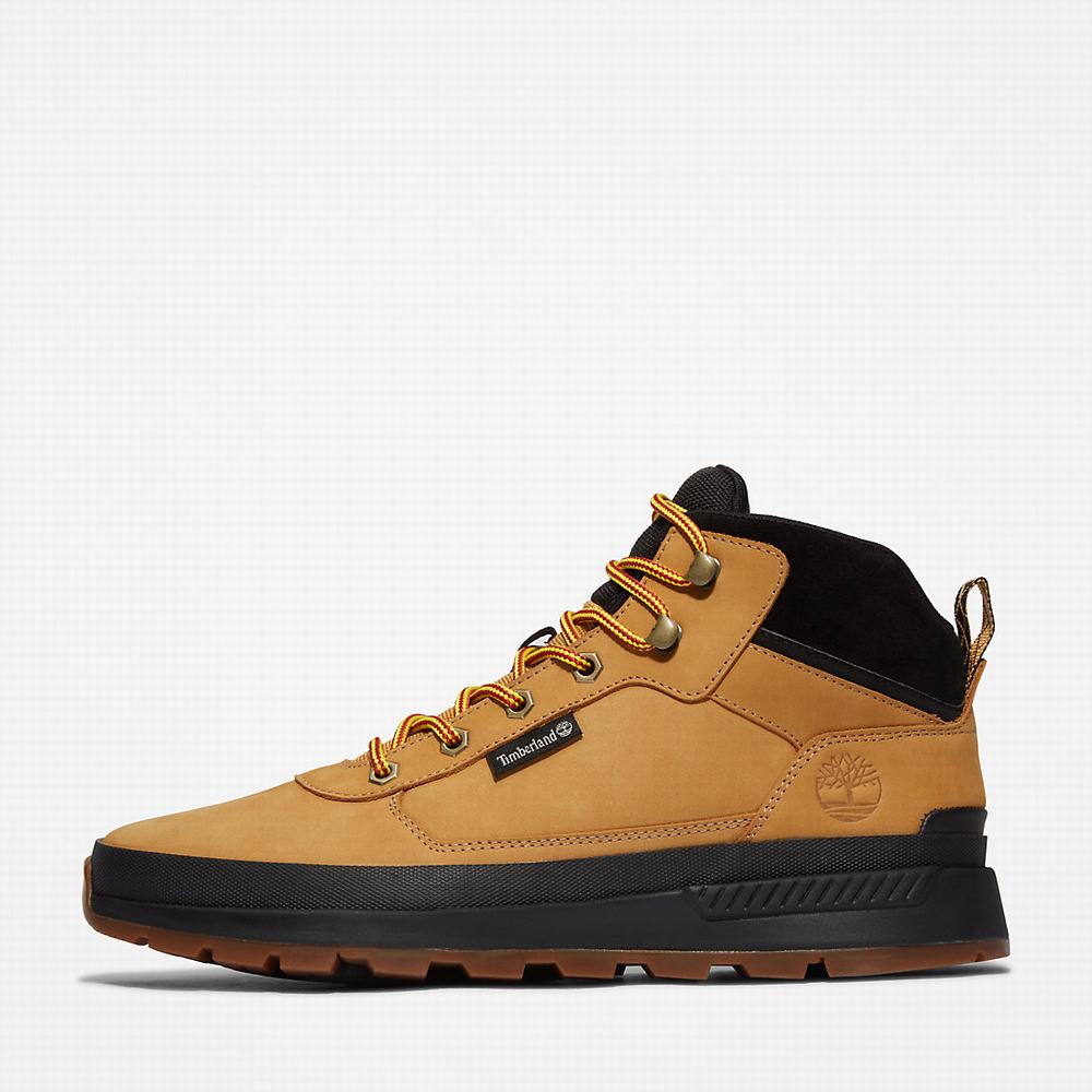 Cizmy Timberland Field Trekker Chukka Panske Žlté | ZC0249513