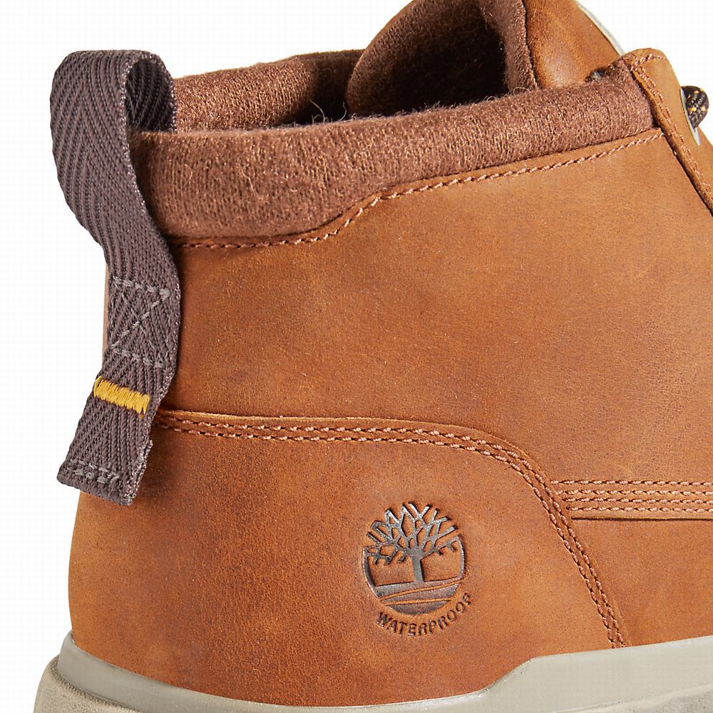 Cizmy Timberland GreenStride™ TBL® Originals Ultra EK+ Panske Hnede | NX1607894