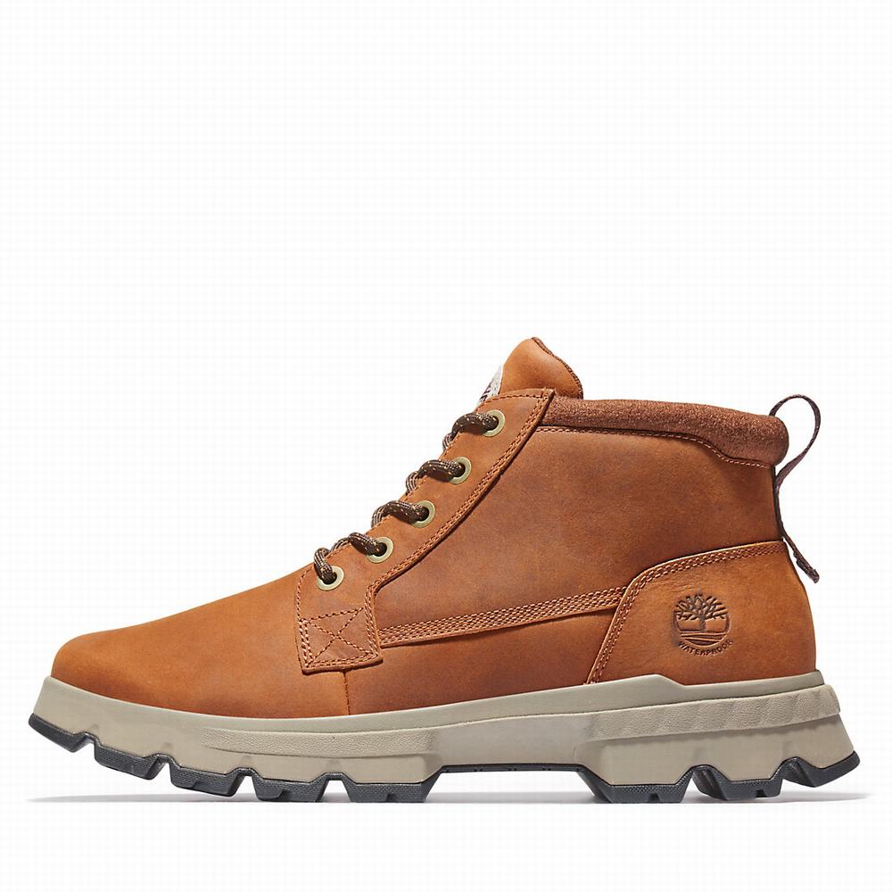 Cizmy Timberland GreenStride™ TBL® Originals Ultra EK+ Panske Hnede | NX1607894