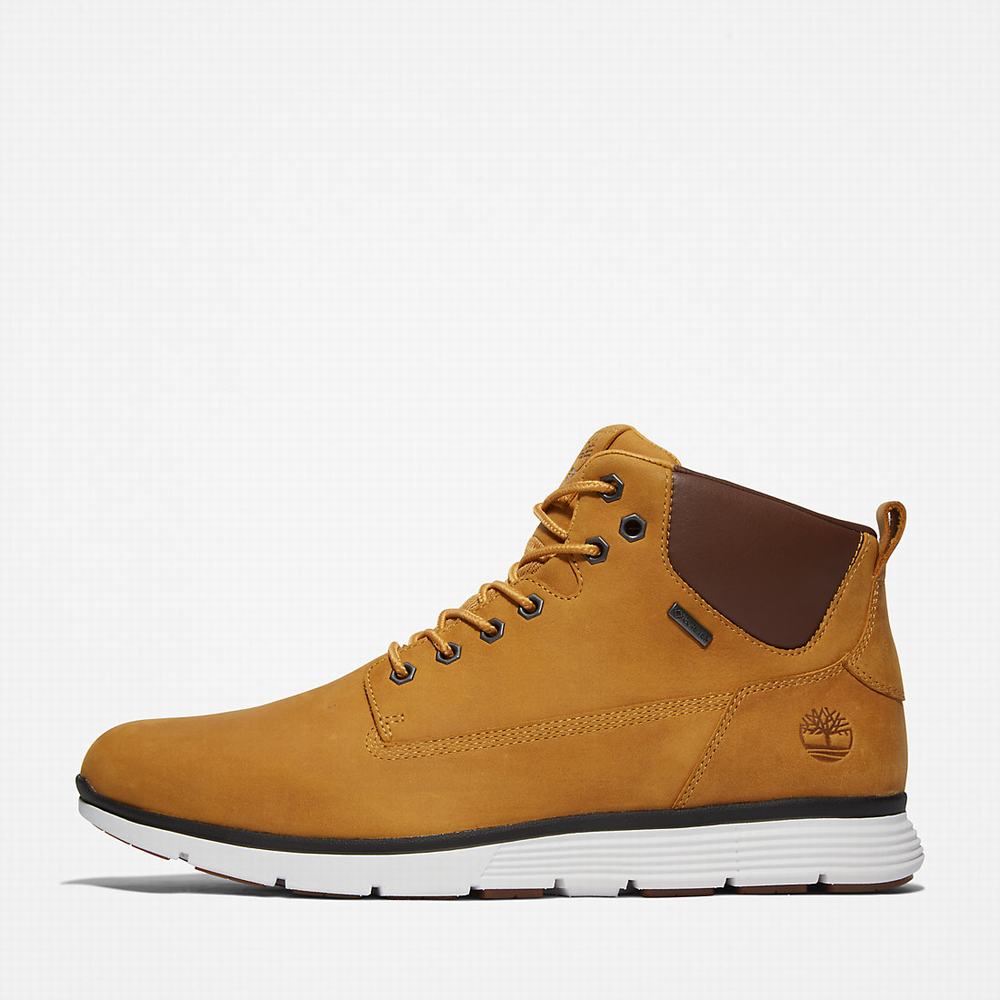 Cizmy Timberland Killington Gore-Tex® Chukka Panske Žlté | GD2950436