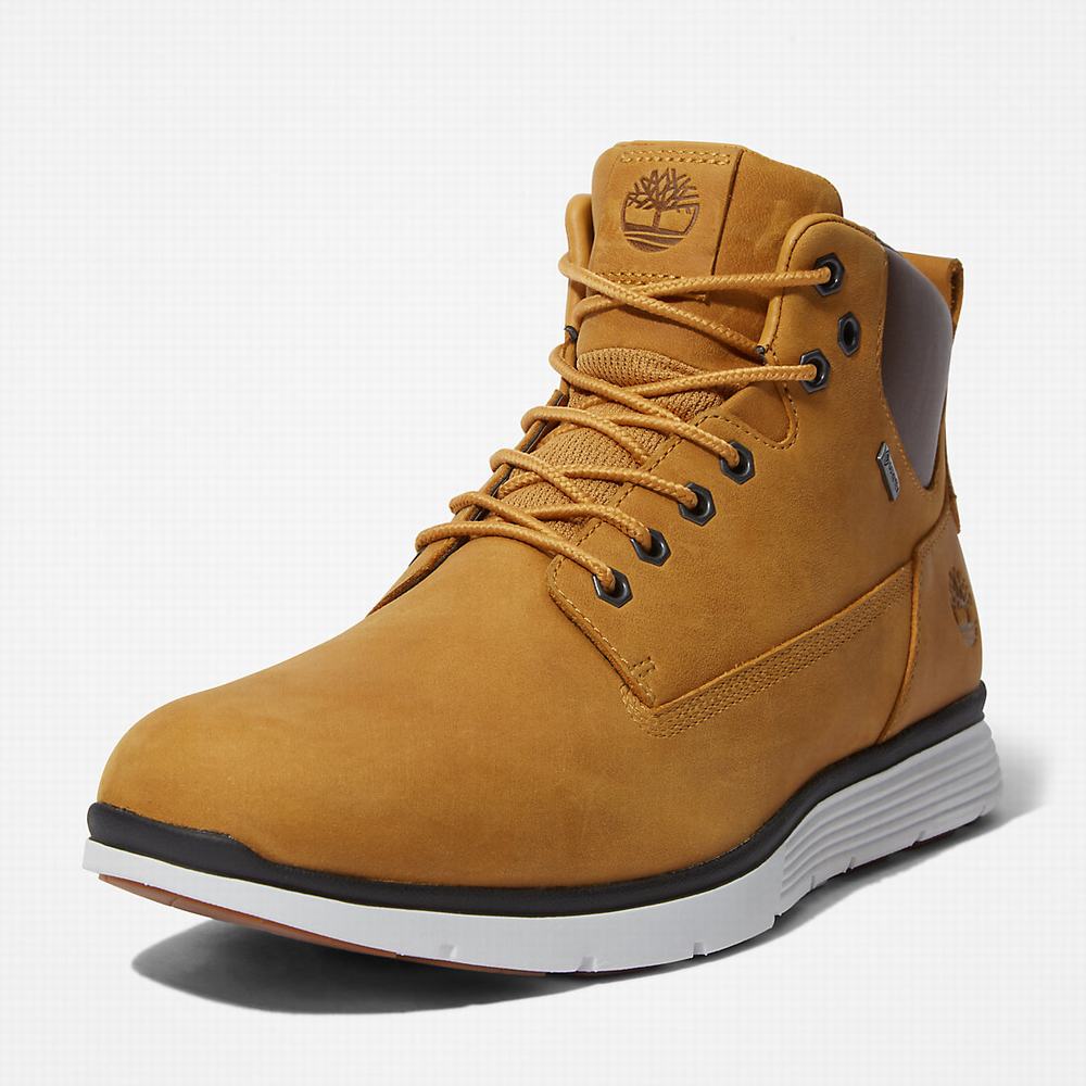 Cizmy Timberland Killington Gore-Tex® Chukka Panske Žlté | GD2950436