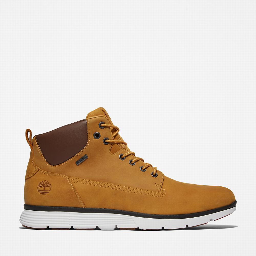 Cizmy Timberland Killington Gore-Tex® Chukka Panske Žlté | GD2950436