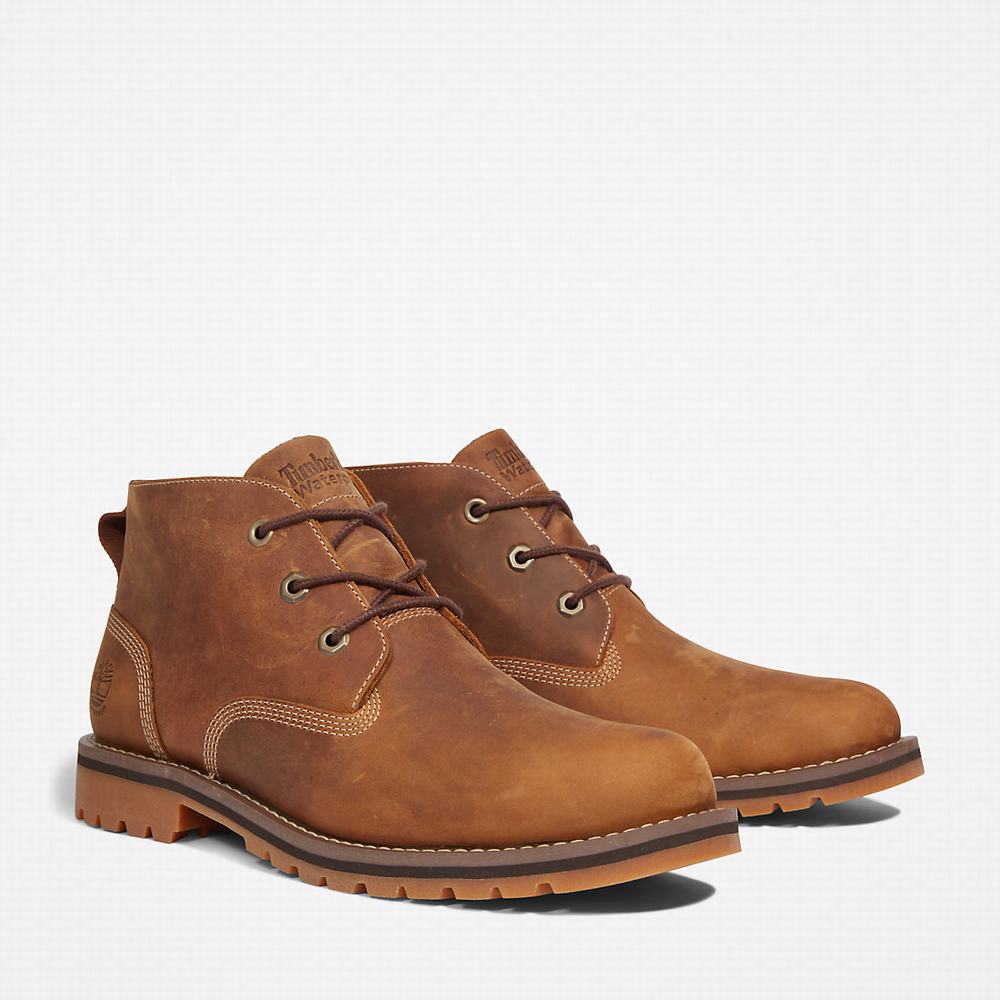 Cizmy Timberland Larchmont II Chukka Panske Svetlo Hnede | JP2435619