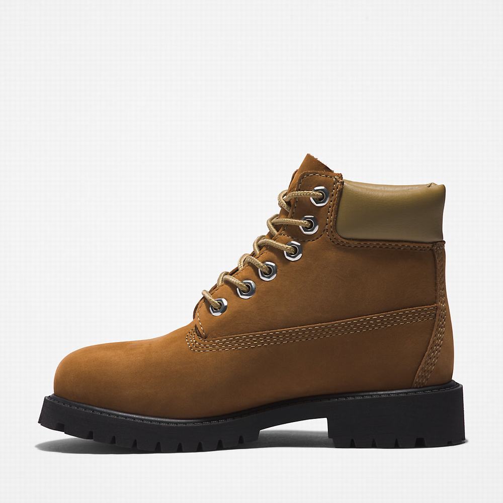 Cizmy Timberland Premium 6 Inch Detske Hnede | DK7540891