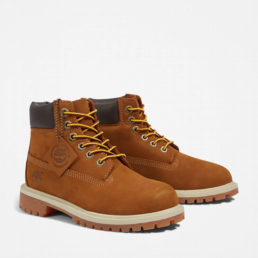 Cizmy Timberland Premium 6 Inch Detske Hnede | HZ7681349