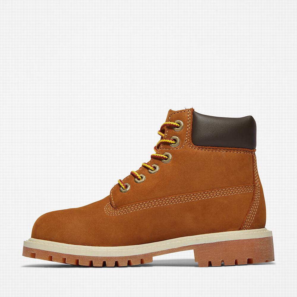 Cizmy Timberland Premium 6 Inch Detske Hnede | HZ7681349